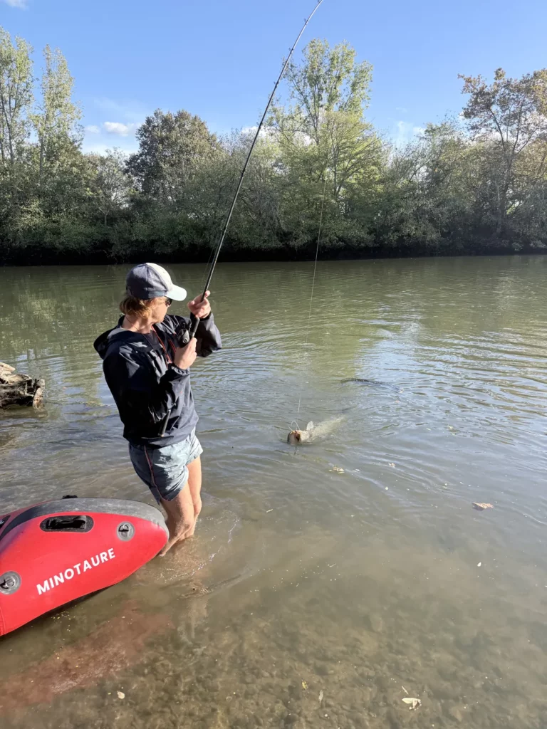 Combat d'un silure pêché au leurre depuis un packraft, sur l'Adour